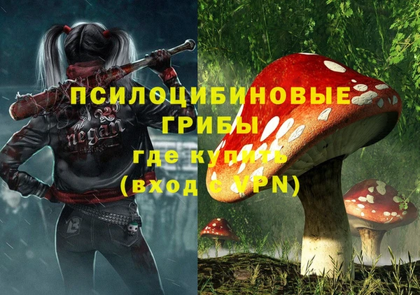 шишки Верхнеуральск